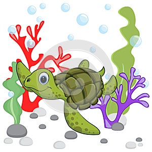 Cartoon turtle underwater with corals plants and bubbles