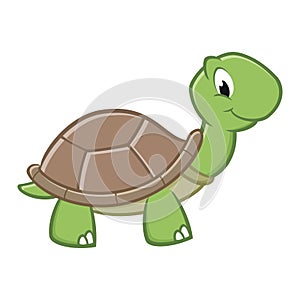Cartoon Turtle photo