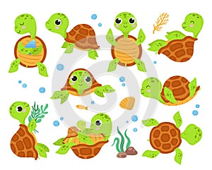 Cartoon turtles. Animal tortoise, smiling turtle different poses. Walk action running cute wild characters, isolated