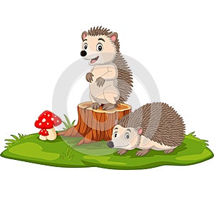 Cartoon two baby hedgehog on tree stump