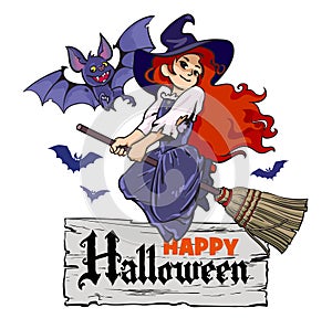 Cartoon vampire bat and cute young witch flying on broomstick