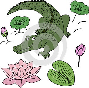 Cartoon vector alligator, lily flowers, leaves. Colorful clipart crocodile in the swamp