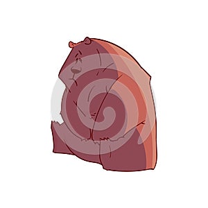 Cartoon vector bear