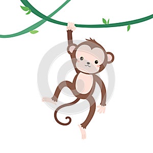 cartoon vector cute monkey hanging on vine