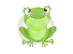 Cartoon Vector of Green cute baby frog isolated on white background