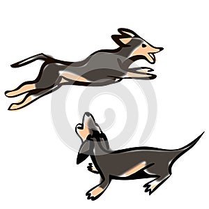 Cartoon Vector Illustration of Cute Purebred Dachshund Dog