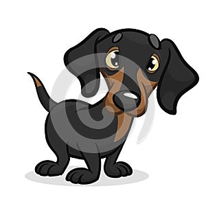 Cartoon Vector Illustration of Cute Purebred Dachshund Dog