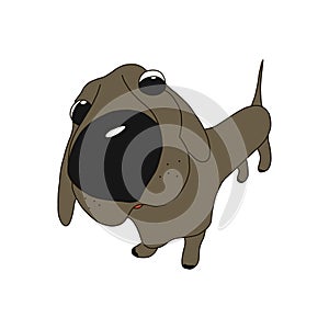 Cartoon Vector Illustration of Cute Purebred Dachshund Dog. Isolated on white background. in cartoon style.