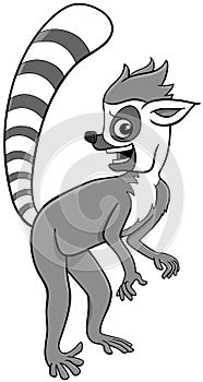 funny cartoon lemur primate animal character photo