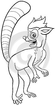 funny cartoon lemur primate animal character photo