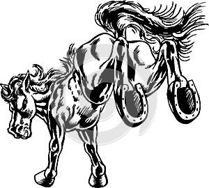 Mustang Kick Mascot Vector Illustration photo