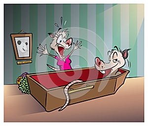 Opossum pranks