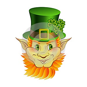 Cartoon vector leprechaun character face