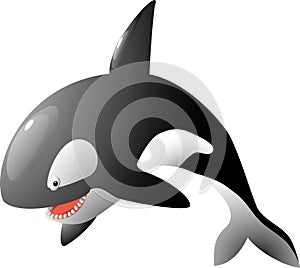 Cartoon vector orca