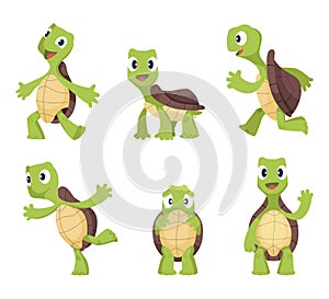 Cartoon vector turtle in various action poses