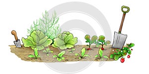 Cartoon Vegetable Garden Plot