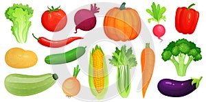 Cartoon vegetables. Fresh vegan veggies, raw vegetable green zucchini and celery. Lettuce, tomato and carrot vector photo