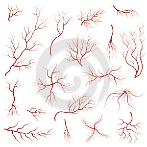 Cartoon Vein Blood Set. Vector