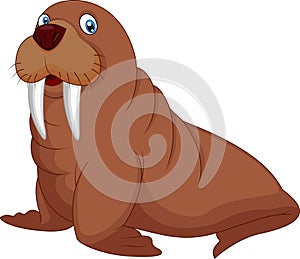 Cartoon walrus