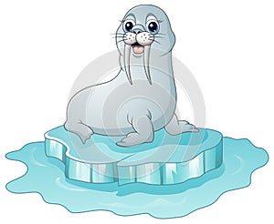 Cartoon walrus on the on ice floe