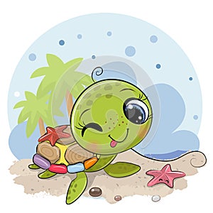 Cartoon water turtle on the beach