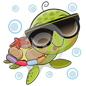 Cartoon water turtle in sunglasses on the white background