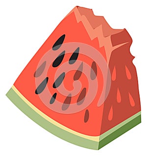 Cartoon watermelon icon. Summer juicy fruit slice