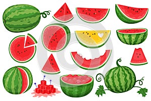 Cartoon watermelon. Natural healthy product, diet juicy fruit. Whole, pieces and sliced, green leaves, fresh semicircles photo