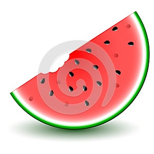 Cartoon Watermelon Slice