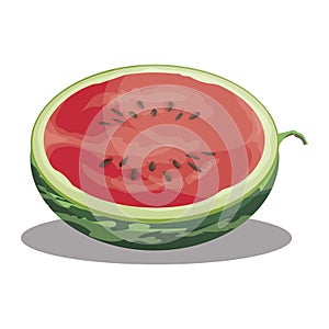 Cartoon watermelon. Sliced sweet watermelon. Pieces of juicy fruit. Summer vitamin fruit. Illustration for children.