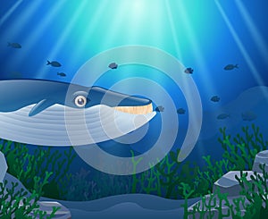 Cartoon whale with Coral