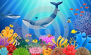 Cartoon whale with Coral