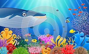 Cartoon whale with Coral