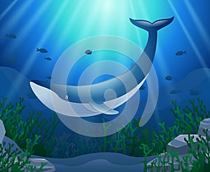 Cartoon whale with Coral Reef Underwater