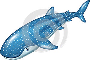 Cartoon whale shark on white background