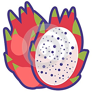 Cartoon white dragon fruit vector illustration, whole and half slice pitaya, pitahaya flat icon design, buah naga putih isolated photo