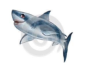 Cartoon white shark isolated on a white background. Watercolor