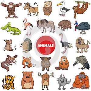 Cartoon wild animal characters big set