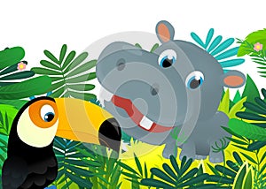 Cartoon wild animal happy young hippo hippopotamus in the jungle isolated illustration for children