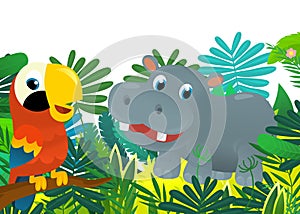 Cartoon wild animal happy young hippo hippopotamus in the jungle isolated illustration for children