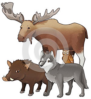 Cartoon wild animal wolf or dog wild boar and owl with moose isolated illustration for children