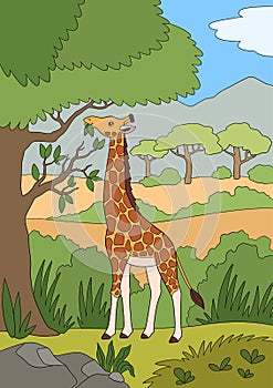 Cartoon wild animals. Big giraffe with long neck stands and eats leaves