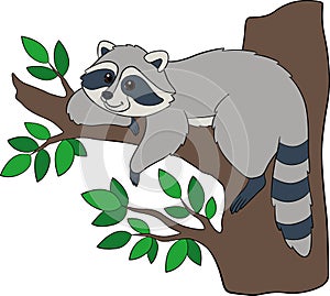 Cartoon wild animals. Cute smiling raccoon rests on the tree