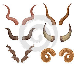 Cartoon wild animals horns. Horned goat, buffalo and ram antlered, ungulates mammals horns flat vector illustration set on white