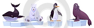 Cartoon wild animals on ice floes whale, bear,