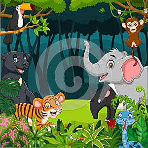 Cartoon wild animals in the jungle