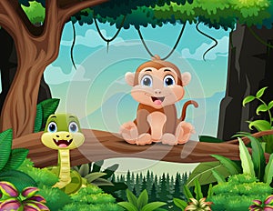 Cartoon wild animals in the jungle