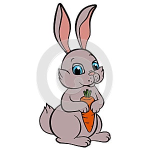 Cartoon wild animals for kids. Little cute rabbit holds a carrot