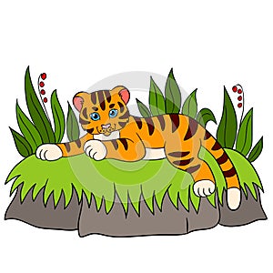 Cartoon wild animals for kids: Tiger. Little cute baby tiger smile