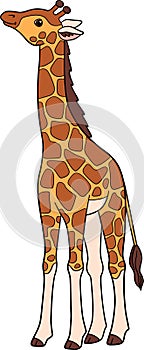 Cartoon wild animals. Little cute baby giraffe with long neck stands and smiles